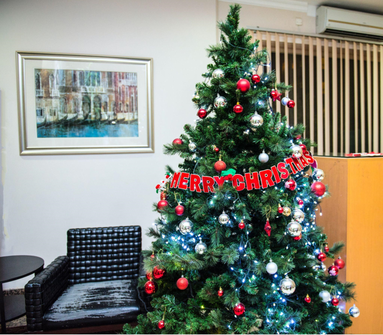 Slim Artificial Christmas Trees: A King of Christmas