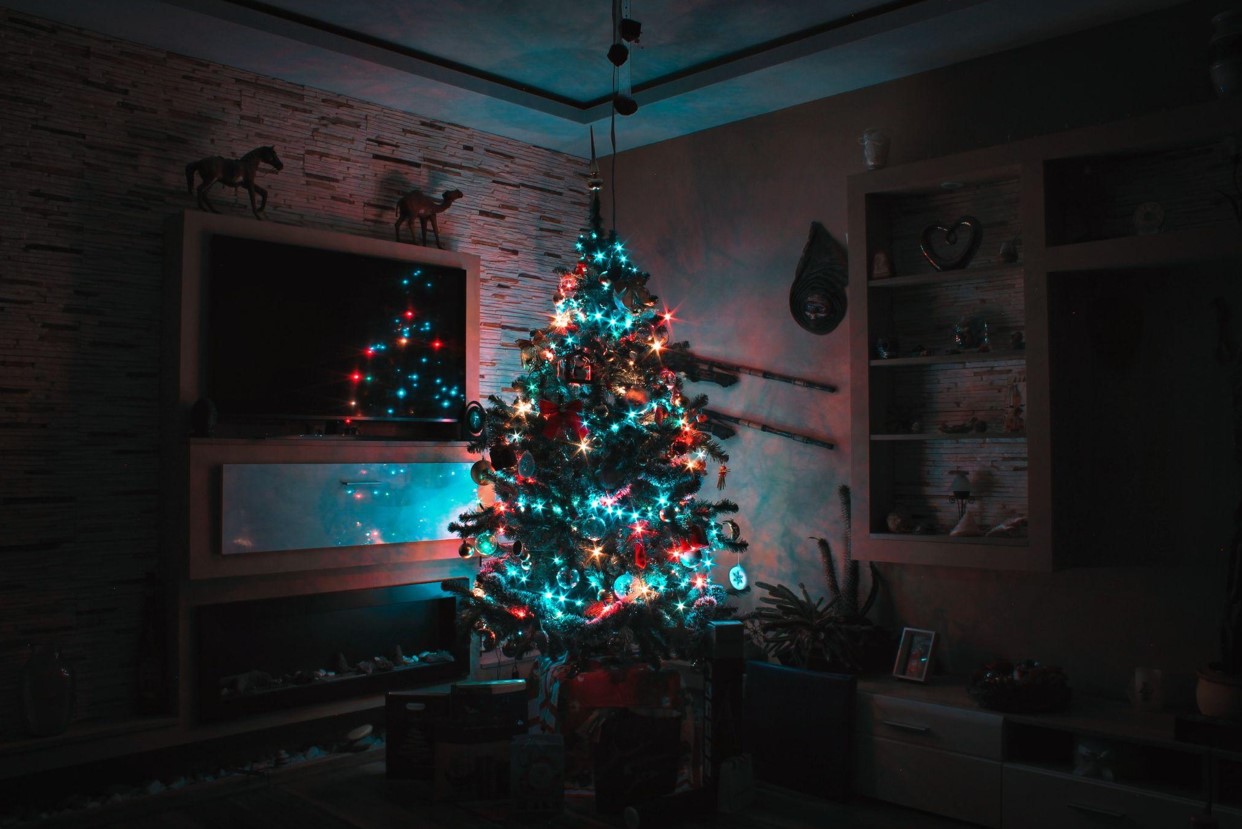 Slim Flocked Christmas Trees That Spark Joy